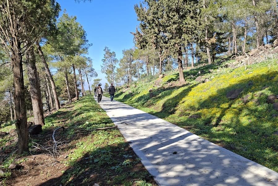 שביל נגיש ביער גבעת המורה